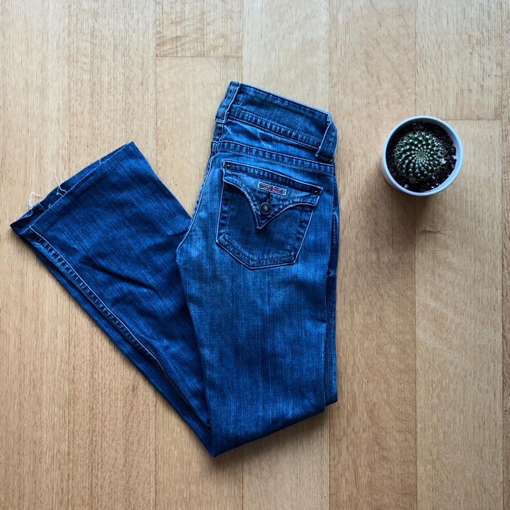 Hudson Flare Jeans